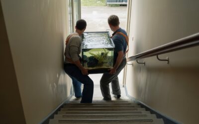 Jak na stěhování akvária? Víme, jak na to!