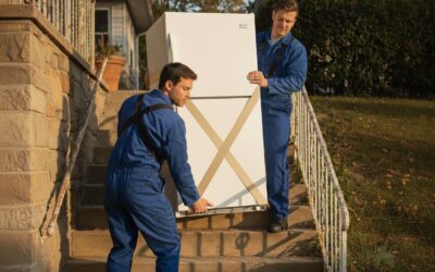 Podle čeho vybrat stěhovací popruhy?